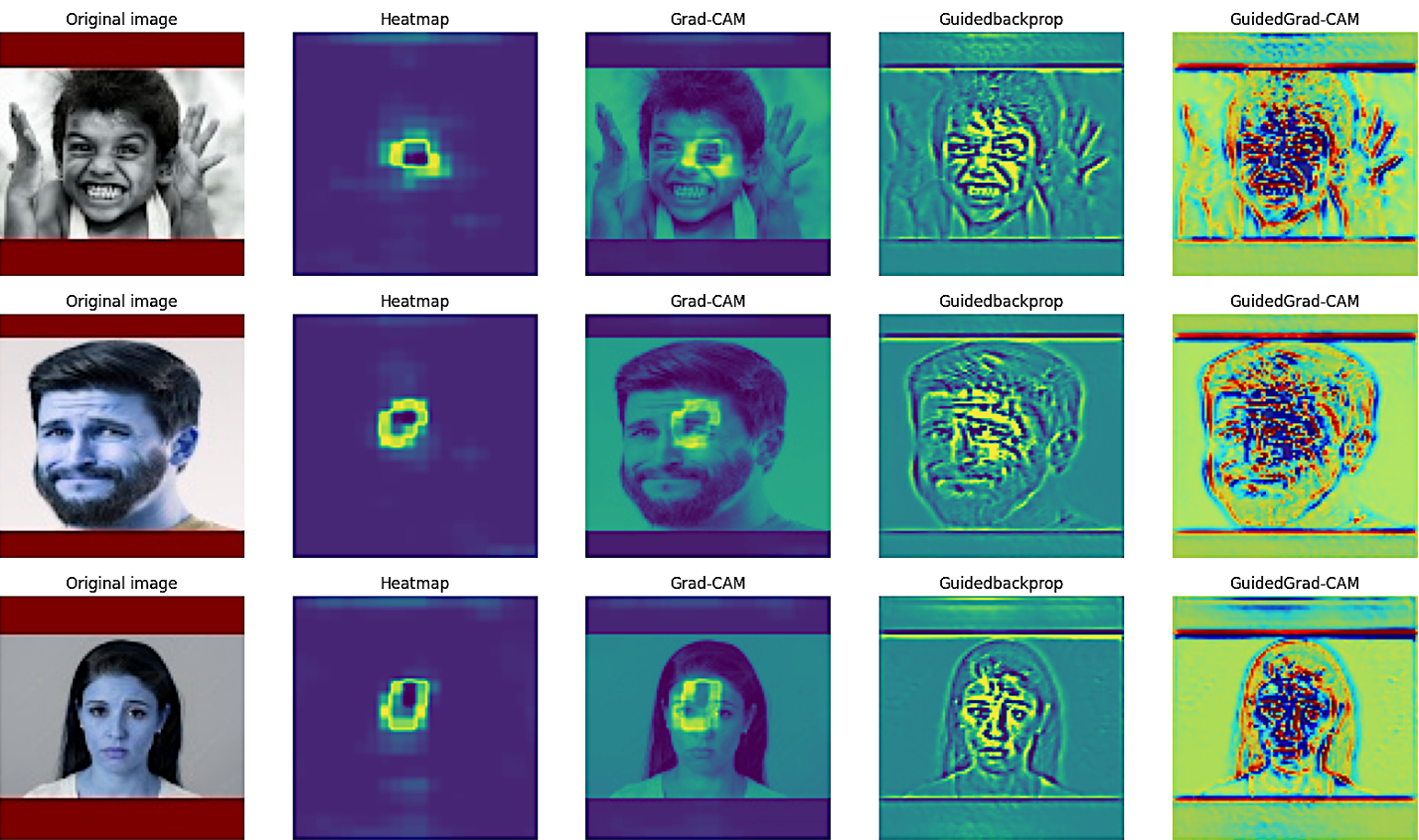Facial Expression Analysis and Interpretation