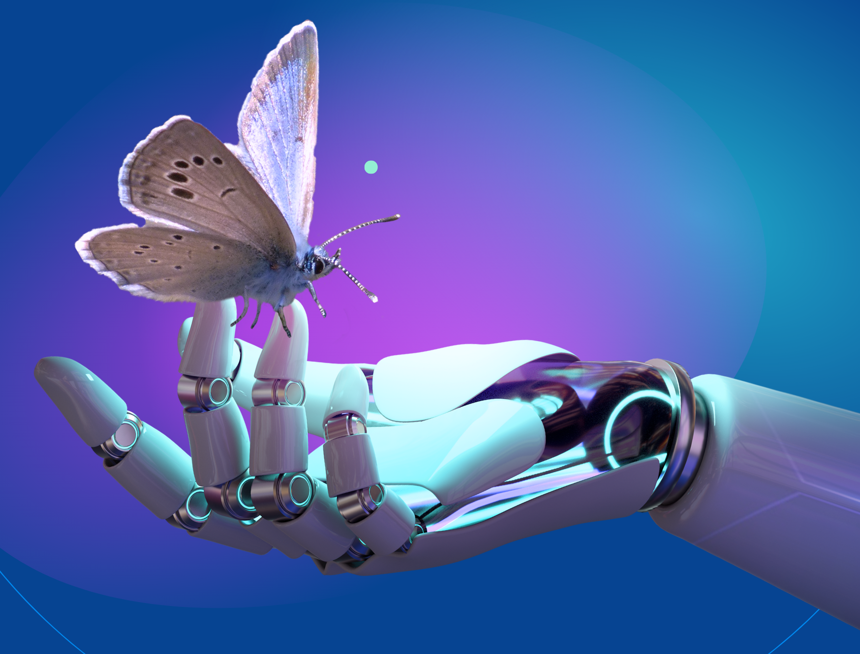 Image Missing
